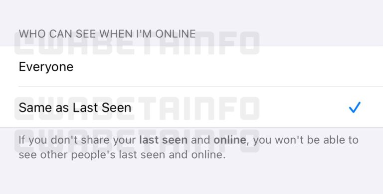 WhatsApp sedang uji ciri menutup status 'online' dan 'last seen' 11