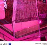 ULASAN : vivo V60 – Bateri Solid, Kamera Mantap, Design Padu 87