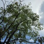 ULASAN : SAMSUNG Galaxy Z Fold7 - Lonjakan Terbesar dalam Sejarah Galaxy Z Fold 45 ULASAN : SAMSUNG Galaxy Z Fold7 - Lonjakan Terbesar dalam Sejarah Galaxy Z Fold 44