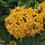 ULASAN : Samsung Galaxy S25 FE - Pengalaman Galaxy AI setaraf flagship, harga lebih berpatutan 178