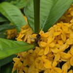 ULASAN : Samsung Galaxy S25 FE - Pengalaman Galaxy AI setaraf flagship, harga lebih berpatutan 177