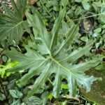 ULASAN : Samsung Galaxy S25 FE - Pengalaman Galaxy AI setaraf flagship, harga lebih berpatutan 162