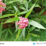 ULASAN : HONOR X9d 5G - Generasi baharu King of Durability yang lebih tahan lasak 18