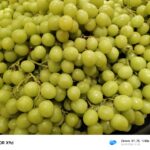 ULASAN : HONOR X9d 5G - Generasi baharu King of Durability yang lebih tahan lasak 31