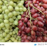 ULASAN : HONOR X9d 5G - Generasi baharu King of Durability yang lebih tahan lasak 32