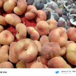 ULASAN : HONOR X9d 5G - Generasi baharu King of Durability yang lebih tahan lasak 35