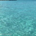 ULASAN : HUAWEI Pura 80 Ultra - Inovasi pengimejan terbaru kini telah tiba 112