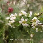 ULASAN : OPPO Find X9 - Model Standard yang menawarkan prestasi tahap Pro 28