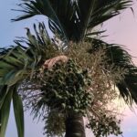 Ulasan : Xiaomi Redmi 15 4G - Telefon Pintar Bajet Dengan Bateri 7,000mAh dan Skrin 144Hz 19