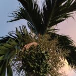 Ulasan : Xiaomi Redmi 15 4G - Telefon Pintar Bajet Dengan Bateri 7,000mAh dan Skrin 144Hz 17