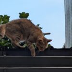 ULASAN : Google Pixel 10 Pro - Senjata Baru Google untuk Dominasi Android 14 ULASAN : Google Pixel 10 Pro - Senjata Baru Google untuk Dominasi Android 14