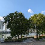 ULASAN : Google Pixel 10 Pro - Senjata Baru Google untuk Dominasi Android 29 ULASAN : Google Pixel 10 Pro - Senjata Baru Google untuk Dominasi Android 29