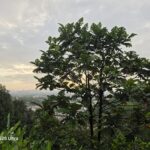 ULASAN : Samsung Galaxy S26 Ultra - Flagship AI Baharu dengan Agentic AI dan Paparan Privasi Pintar 76 ULASAN : Samsung Galaxy S26 Ultra - Flagship AI Baharu dengan Agentic AI dan Paparan Privasi Pintar 76