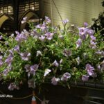 ULASAN : Samsung Galaxy S26 Ultra - Flagship AI Baharu dengan Agentic AI dan Paparan Privasi Pintar 66 ULASAN : Samsung Galaxy S26 Ultra - Flagship AI Baharu dengan Agentic AI dan Paparan Privasi Pintar 66