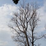 ULASAN : iQOO 15R - RM2,499 Untuk Spesifikasi Gila Macam Ni? 15 ULASAN : iQOO 15R - RM2,499 Untuk Spesifikasi Gila Macam Ni? 14