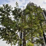 ULASAN : iQOO 15R - RM2,499 Untuk Spesifikasi Gila Macam Ni? 13 ULASAN : iQOO 15R - RM2,499 Untuk Spesifikasi Gila Macam Ni? 12