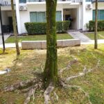 ULASAN : REDMI A7 Pro - Entry Level 'Pro' dengan bateri 6,000mAh dan HyperOS 3 18