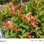 ULASAN : REDMI A7 Pro - Entry Level 'Pro' dengan bateri 6,000mAh dan HyperOS 3 21