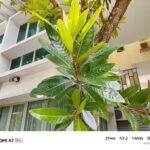 ULASAN : REDMI A7 Pro - Entry Level 'Pro' dengan bateri 6,000mAh dan HyperOS 3 22