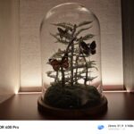 ULASAN : HONOR 600 Pro 5G – Pencabar iPhone yang Berbaloi atau Sekadar Hype? 34