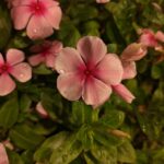 ULASAN : HONOR 600 Pro 5G – Pencabar iPhone yang Berbaloi atau Sekadar Hype? 29